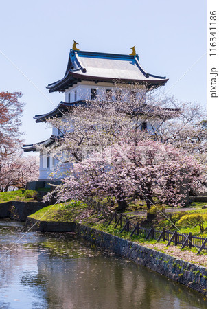 日本さくら名所100選 北海道 松前公園 日本さくら名所100選 北海道 松前公園 116341186