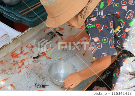 金魚すくいをする子供　縁日の金魚すくい 116341418