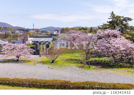 日本さくら名所100選 北海道 松前公園 日本さくら名所100選 北海道 松前公園 116341432