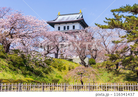 日本さくら名所100選 北海道 松前公園 日本さくら名所100選 北海道 松前公園 116341437