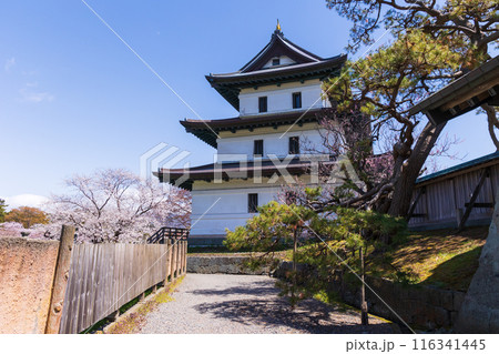 日本さくら名所100選　北海道　松前公園 116341445