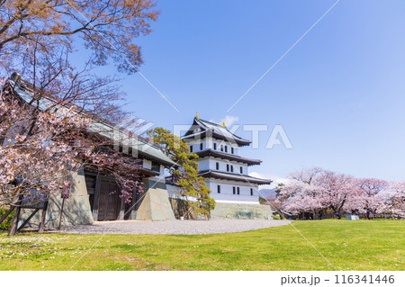 日本さくら名所100選 北海道 松前公園 日本さくら名所100選 北海道 松前公園 116341446