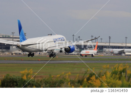 成田空港に着陸する旅客機　LCC　格安航空会社　 116341450