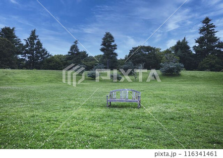 草原の中のベンチ 116341461