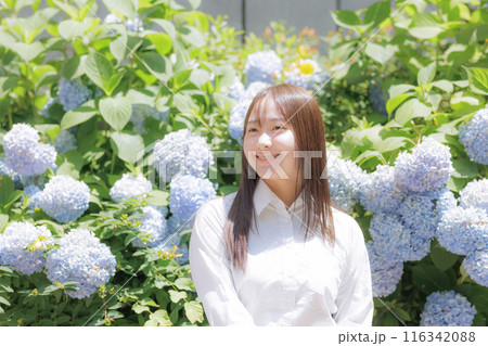 紫陽花の前で座る女子高生 116342088