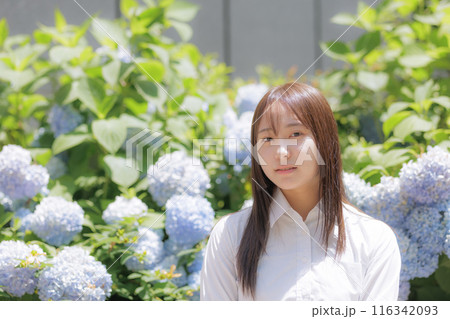紫陽花の前で座る女子高生 116342093