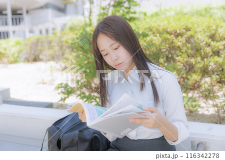 街中で座って勉強をしている女子高生 116342278