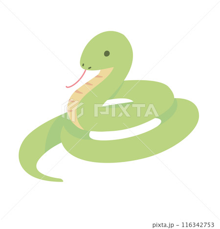 緑色の蛇のイラスト 116342753