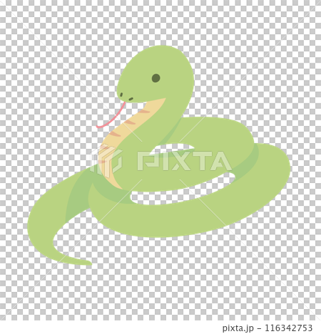 緑色の蛇のイラスト 116342753