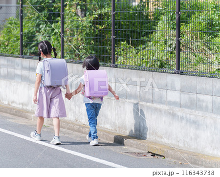 ランドセルを背負って登下校する小学生 116343738