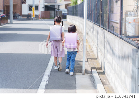 ランドセルを背負って登下校する小学生 ランドセルを背負って登下校する小学生 116343741