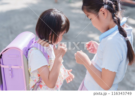 公園で遊ぶ小学生 116343749