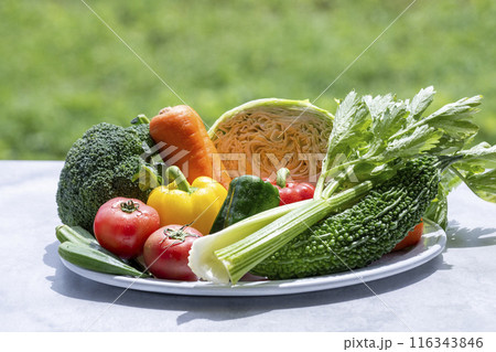 色とりどりの野菜 野菜集合 色とりどりの野菜 野菜集合 116343846