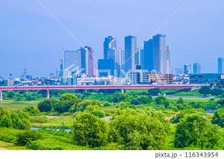 日本の東京都市景観 7月。緑に包まれた多摩川や武蔵小杉駅前のタワマン群などを望む=3日 日本の東京都市景観 7月。緑に包まれた多摩川や武蔵小杉駅前のタワマン群などを望む=3日 116343954