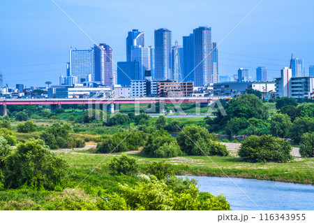 日本の東京都市景観 7月。緑に包まれた多摩川や武蔵小杉駅前のタワマン群などを望む=3日 日本の東京都市景観 7月。緑に包まれた多摩川や武蔵小杉駅前のタワマン群などを望む=3日 116343955