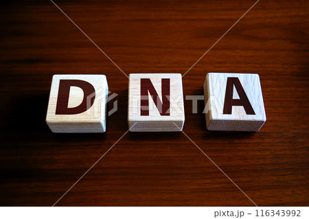 用語ブロック DNA 用語ブロック DNA 116343992