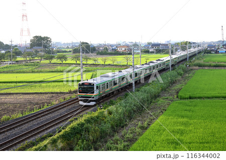 田園地帯を行くJR宇都宮線通勤電車、E231系 116344002