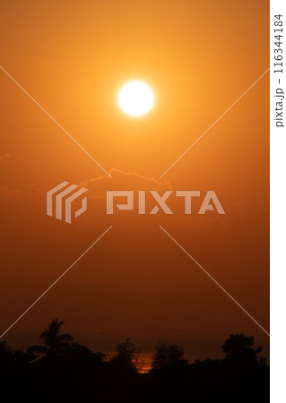Golden Sunrise Over the Horizon 116344184