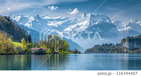 Swiss Alps mountain range with lush forest valleys and meadows, countryside in Switzerland landscape. Serene idyllic panorama, majestic nature, relaxation, calmness concept Swiss Alps mountain range with lush forest valleys and meadows, countryside in Switzerland landscape. Serene idyllic panorama, majestic nature, relaxation, calmness concept 116344407