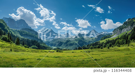 Swiss Alps mountain range with lush forest valleys and meadows, countryside in Switzerland landscape. Serene idyllic panorama, majestic nature, relaxation, calmness concept Swiss Alps mountain range with lush forest valleys and meadows, countryside in Switzerland landscape. Serene idyllic panorama, majestic nature, relaxation, calmness concept 116344408