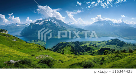 Swiss Alps mountain range with lush forest valleys and meadows, countryside in Switzerland landscape. Snowy mountain tops in the horizon, travel destination wallpaper background 116344423