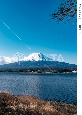 富士山 116345203