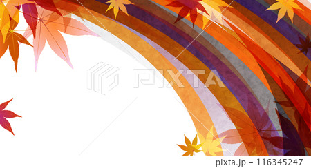 紅葉　葉　秋　背景 116345247