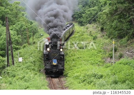 C11　蒸気機関車　思い出 116345520