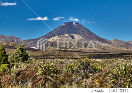 Volcanic Landscape, Tongariro 116345543