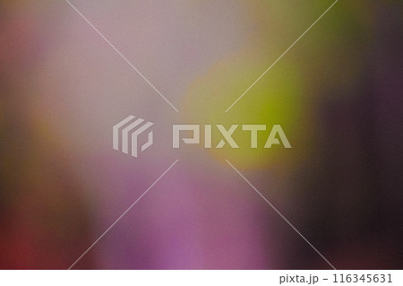 Color gradient grainy Abstract background, noise texture effect 116345631