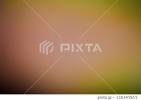 Color gradient grainy Abstract background, noise texture effect 116345655