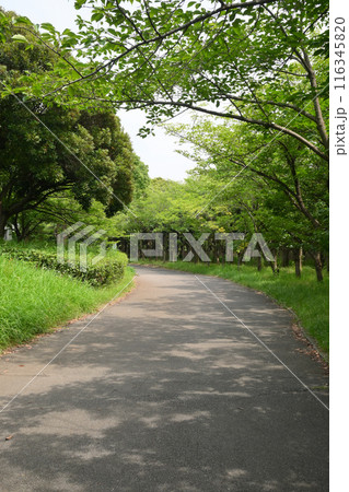 春の千葉ポートパーク 116345820