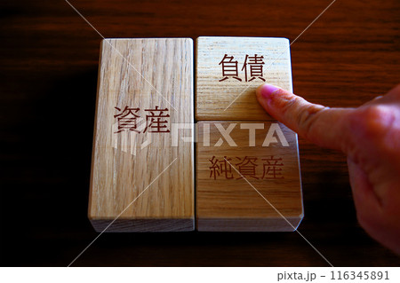 貸借対照表　負債 116345891