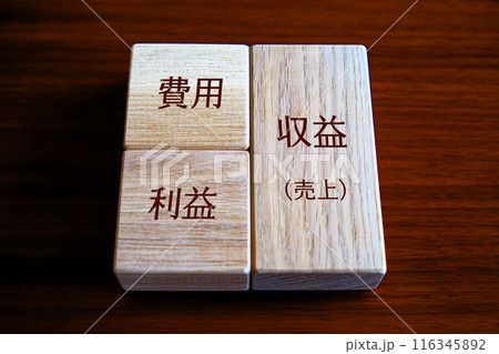 損益計算書 損益計算書 116345892