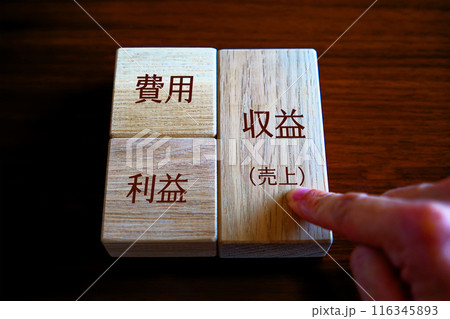 損益計算書 収益 損益計算書 収益 116345893