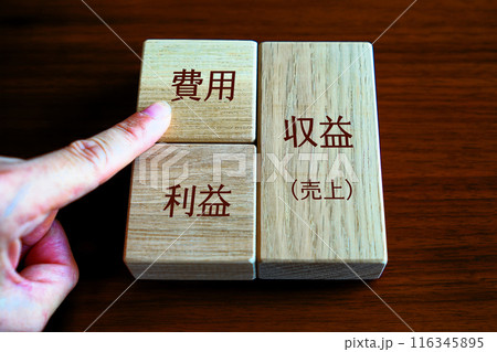 損益計算書　費用 116345895