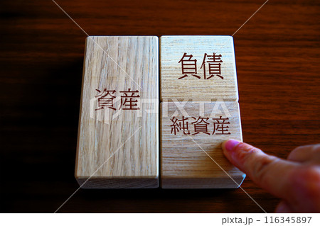 貸借対照表　純資産 116345897