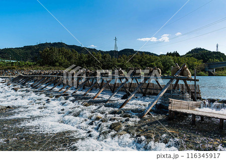 秋の風物詩鮎やな 116345917