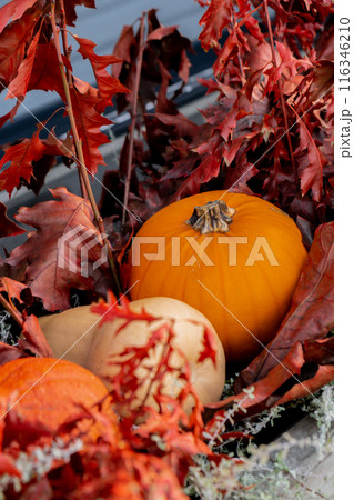 Halloween decorated outdoor cafe or restaurant terrace in America or Europe with pumpkins traditional attributes of Halloween. Frontyard decoration Halloween decorated outdoor cafe or restaurant terrace in America or Europe with pumpkins traditional attributes of Halloween. Frontyard decoration 116346210