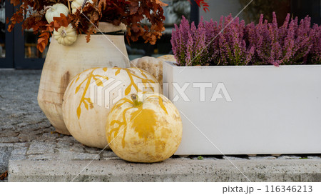 Group of orange pumpkins in autumn outside. Thanksgiving or Halloween holiday autumn decoration. House entrance in festive seasonal decor 116346213