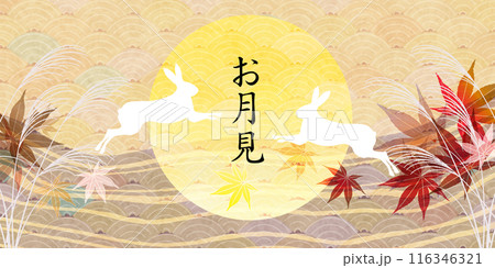 お月見　十五夜　秋　背景 116346321