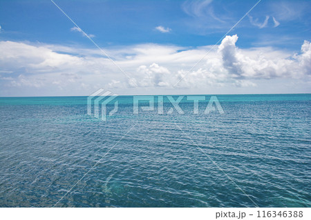 パラオ共和国　カヤンゲル島の美しい青い海と空 116346388