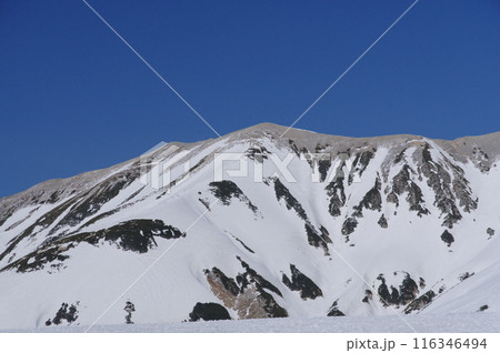 5月上旬の立山黒部アルペンルート　立山室堂平から望む真砂岳 116346494