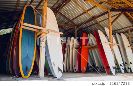 A variety of surfboards are neatly displayed on a stand 116347258