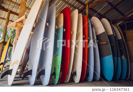 A variety of surfboards are neatly displayed on a stand 116347361