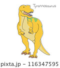 ティラノサウルス　リアルでかわいい恐竜　正面 116347595