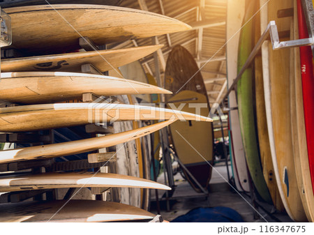A variety of surfboards are neatly displayed on a stand 116347675