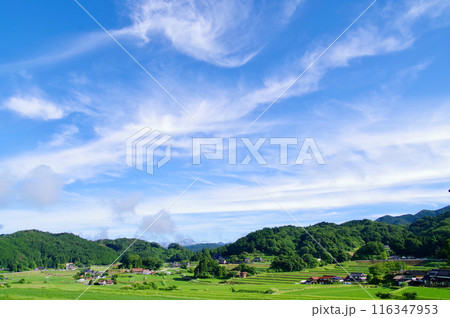 農村風景夏　青空　雲　緑に輝く稲の葉　三河内の棚田　夢街道ルネサンス比和ゆめ街道 116347953