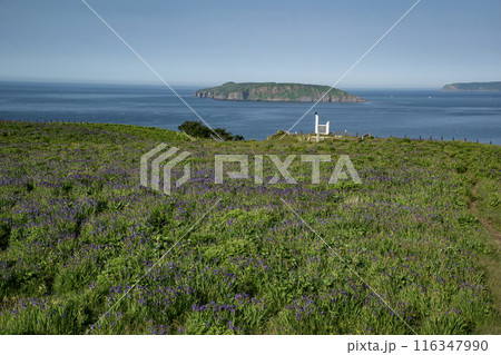 厚岸のアヤメが原 厚岸のアヤメが原 116347990