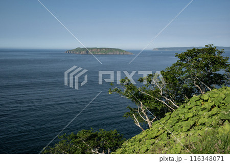 厚岸のアヤメが原 116348071